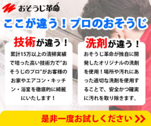 おそうじ革命
